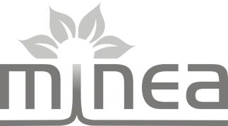 minea.tech